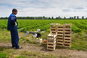 УОХ &laquo;Кубань&raquo; &copy;&nbsp;Фото Елены Синеок, Юга.ру