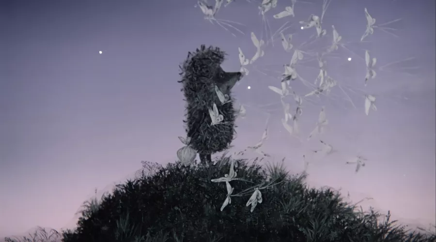 Кадр из мультфильма «Ёжик в тумане» &copy;&nbsp;Скриншот видео с Rutube-канала &laquo;HOM&raquo;