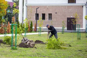  &copy;&nbsp;Фото Максима Гордышова