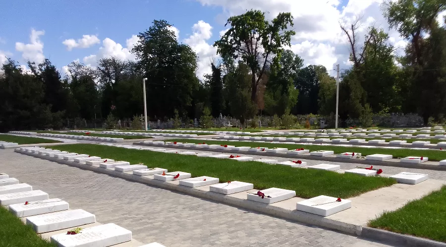 Всесвятское кладбище &copy;&nbsp;Фото Яны Антоновой