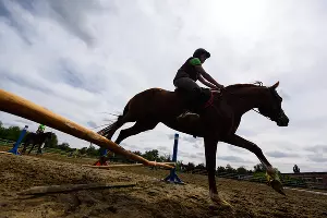  &copy;&nbsp;Фото Елены Синеок, Юга.ру