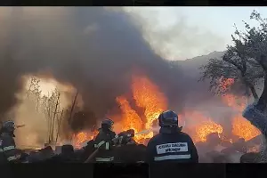  &copy;&nbsp;Скриншот видео https://t.me/typodar