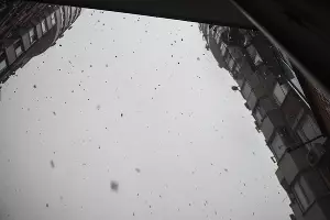  &copy;&nbsp;Фото Елены Синеок, Юга.ру