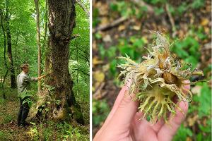  © Коллаж из скриншотов фото из телеграм-канала «Природа и люди»