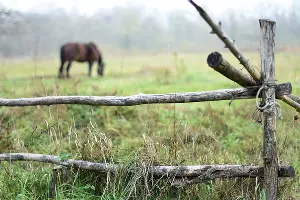  &copy;&nbsp;Фото Союза фотохудожников Адыгеи