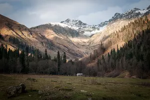  &copy;&nbsp;Фото Елены Синеок, Юга.ру