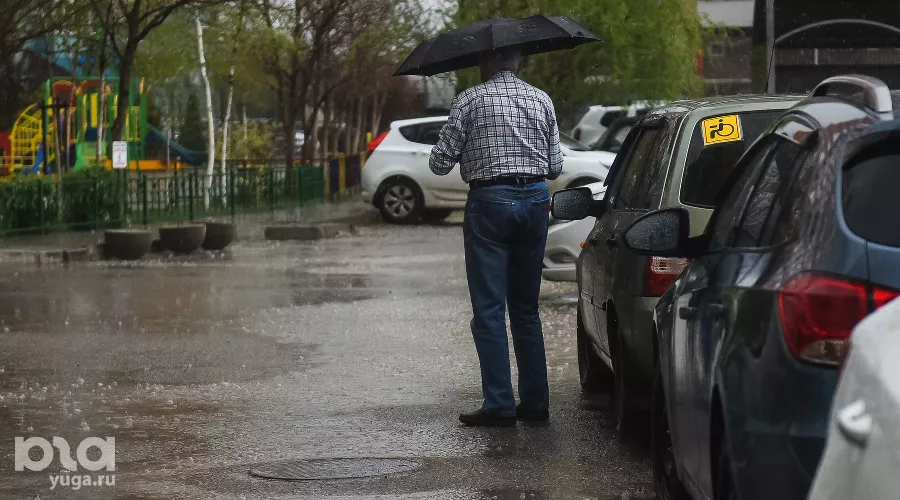  &copy;&nbsp;Фото Елены Синеок, Юга.ру