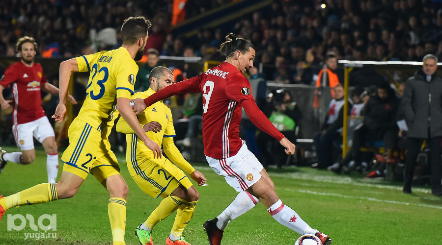  © Фото Елены Синеок, Юга.ру