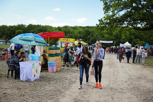 Фестиваль воздухоплавания «Абинская Ривьера» &copy;&nbsp;Фото Виталия Тимкива, Юга.ру