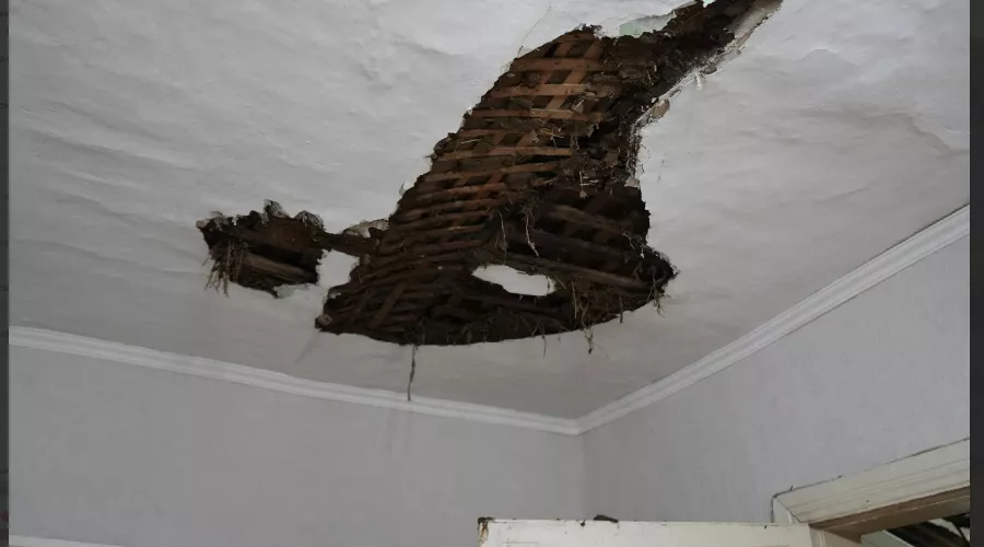 &copy;&nbsp;Скриншот из телеграм-канала администрации Апшеронского района https://t.me/moapsheronskiyrn/4967