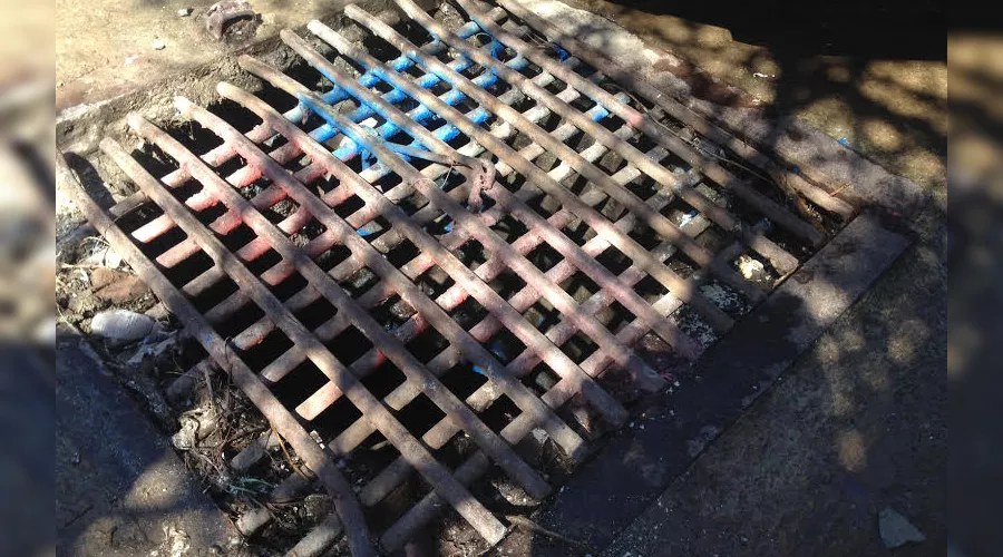  &copy;&nbsp;Фото пресс-служба администрации Сочи