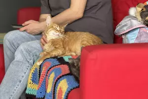  &copy;&nbsp;Фото Марии Журавлевой, Юга.ру