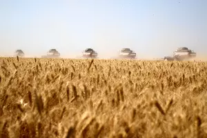  &copy;&nbsp;Фото пресс-службы правительства Ростовской области