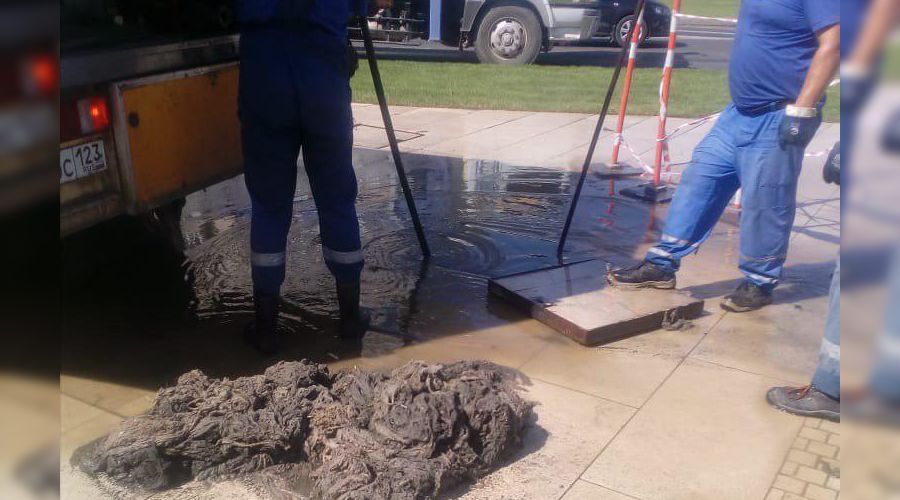  © Фото департамента городского хозяйства администрации Краснодара