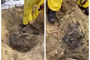  &copy;&nbsp;Скриншот из телеграм-канала Юрия Озаровского https://t.me/MoreOz/81697