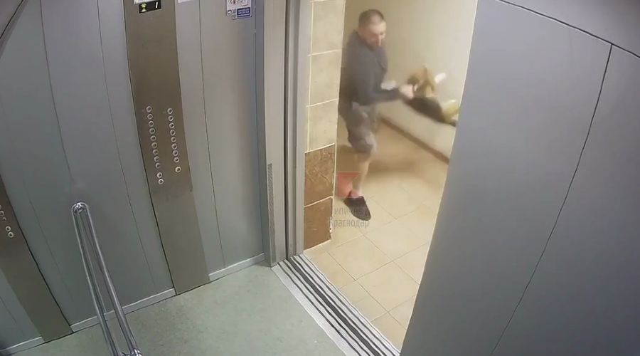  © Скриншот видео из телеграм-канала «Типичный Краснодар», t.me/krd_tipich_ru