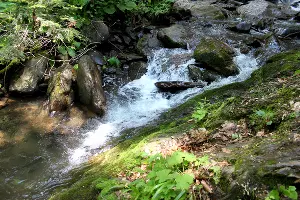  &copy;&nbsp;Фото Марины Солошко, Юга.ру