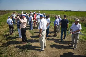 День поля в Адыгее &copy;&nbsp;Елена Синеок, ЮГА.ру