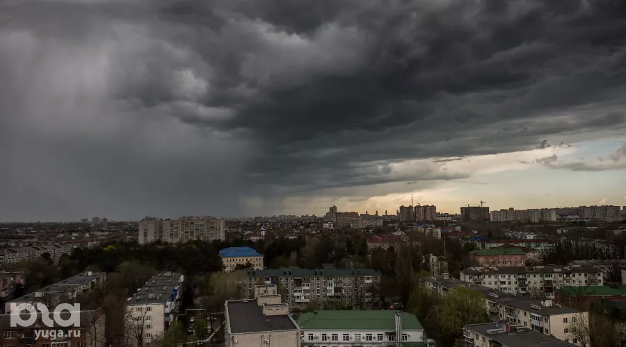  &copy;&nbsp;Фото Елены Синеок, Юга.ру