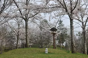 Сливовая роща Умэбаяси в Японском саду &copy;&nbsp;Фото Марины Солошко, Юга.ру