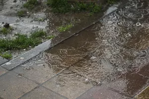  &copy;&nbsp;Фото Елены Синеок, Юга.ру