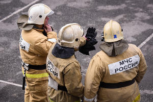  © Фото Елены Синеок, Юга.ру