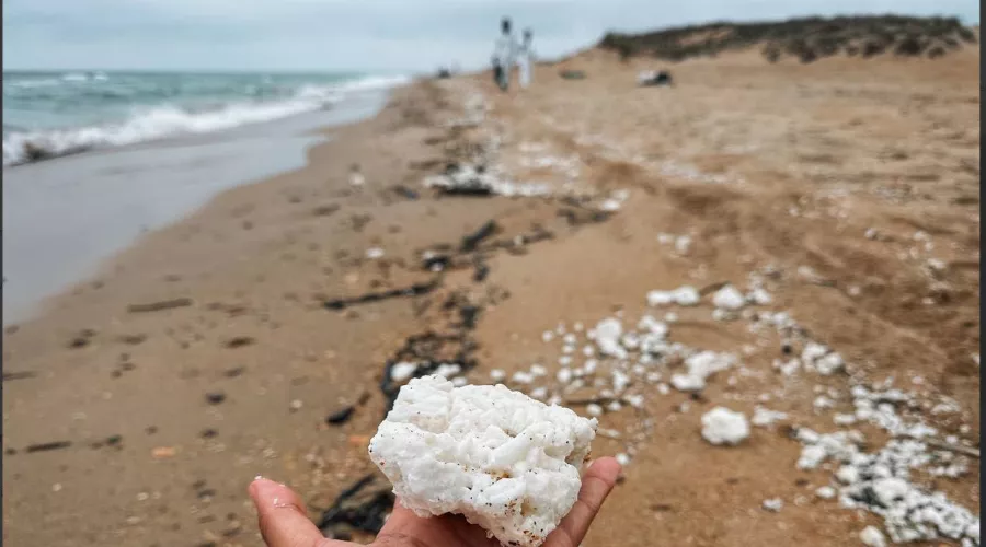  &copy;&nbsp;Скриншот из телеграм-канала эколога Георгия Каваносяна https://t.me/ecozhora/5199