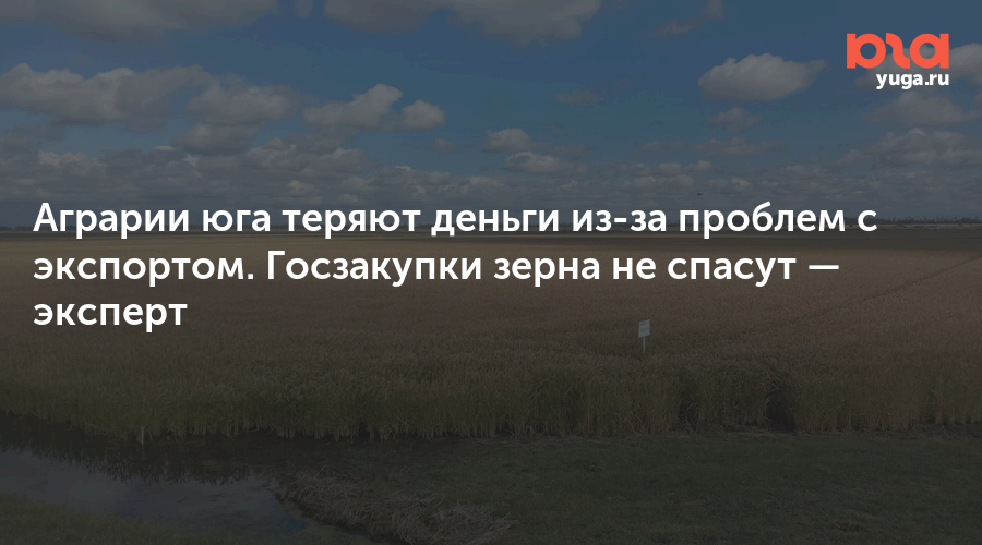 Аграрии юга теряют деньги из-за проблем с экспортом. Госзакупки зерна не спасут — эксперт