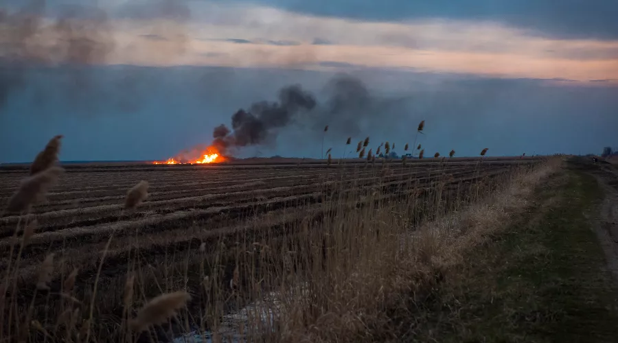  &copy;&nbsp;Фото Елены Синеок, Юга.ру