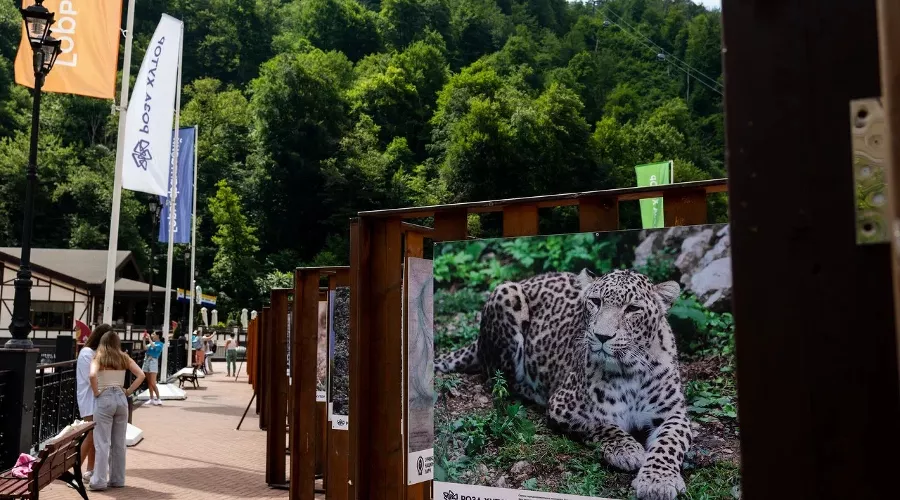  &copy;&nbsp;Фото пресс-службы курорта &laquo;Роза Хутор&raquo;