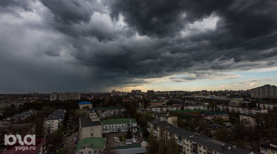  © Фото Елены Синеок, Юга.ру