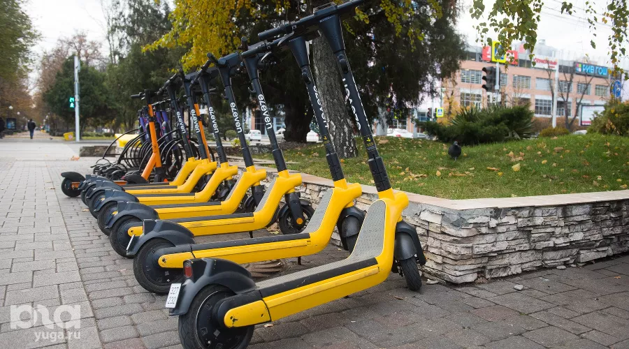  &copy;&nbsp;Фото Елены Синеок, Юга.ру