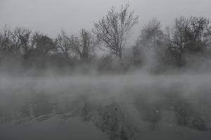 Туман в парке «Солнечный остров» © Фото Елены Синеок, Юга.ру