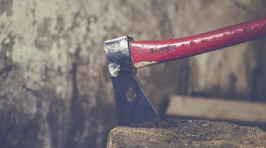 Топор &copy;&nbsp;Фото с сайта pixabay.com