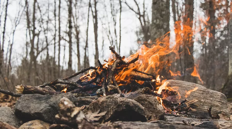Костер в лесу &copy;&nbsp;Фото Harishan Kobalasingam, unsplash.com