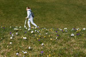 Парк «Краснодар»  &copy;&nbsp;Фото Елены Синеок, Юга.ру