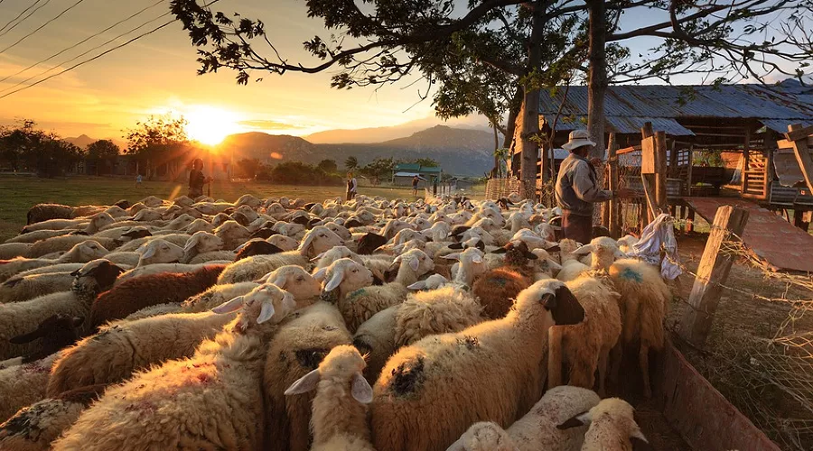  &copy;&nbsp;Фото с сайта pixabay.com