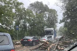  &copy;&nbsp;Фото со страницы instagram.com/incident_sochi