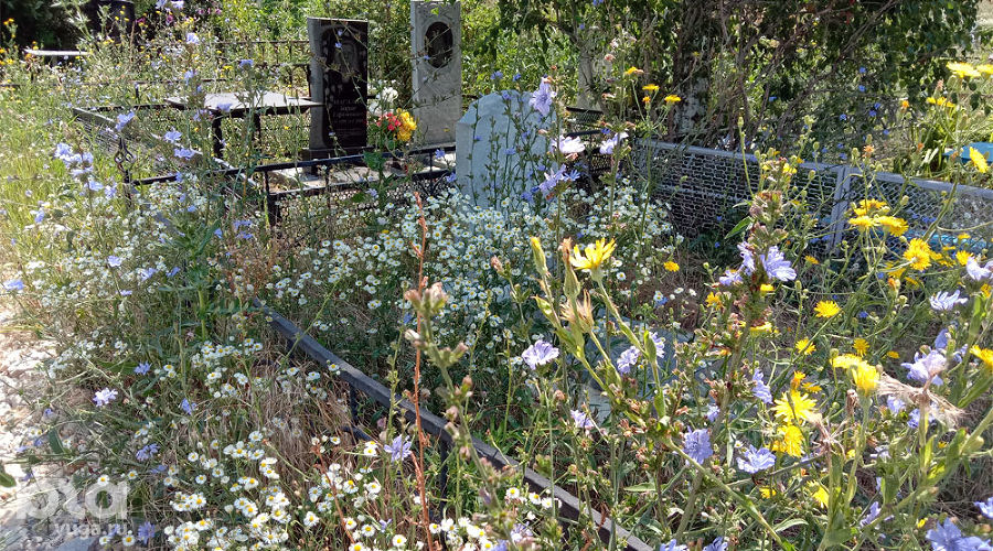  &copy;&nbsp;Фото Ярославы Гуляевой, Юга.ру