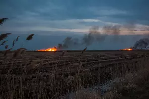  &copy;&nbsp;Фото Елены Синеок, Юга.ру