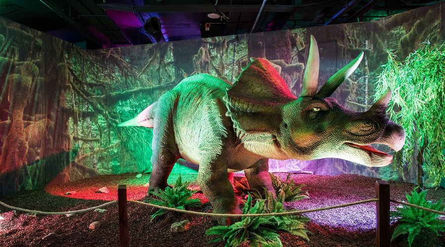  © Фото пресс-службы «Сочи Парка»