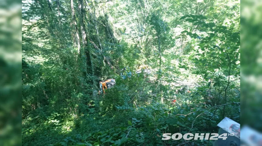  &copy;&nbsp;Фото с сайта sochi24.tv