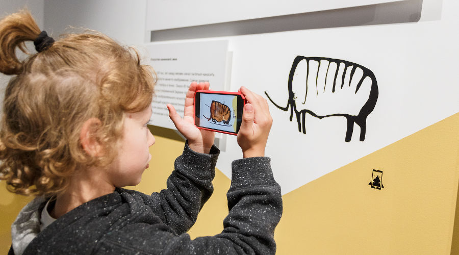  © Фото пресс-службы «Розы Хутор»