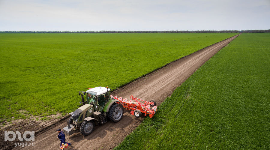  © Фото Виталия Тимкива, Юга.ру