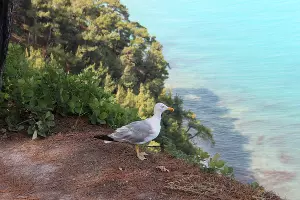  &copy;&nbsp;Фото Марины Солошко, Юга.ру