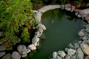  &copy;&nbsp;Кадр из видео Евгения Таранжина