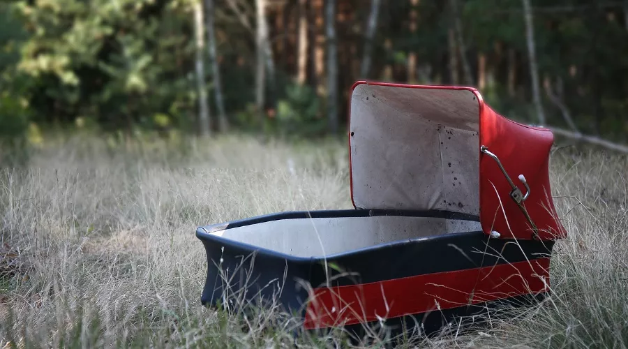  &copy;&nbsp;Фото Mirekis, pixabay.com