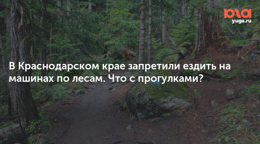 В Краснодарском крае запретили ездить на машинах по лесам. Что с прогулками?