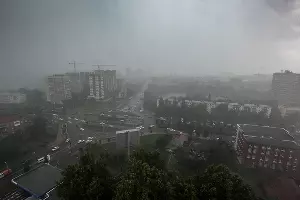  &copy;&nbsp;Фото Елены Синеок, Юга.ру