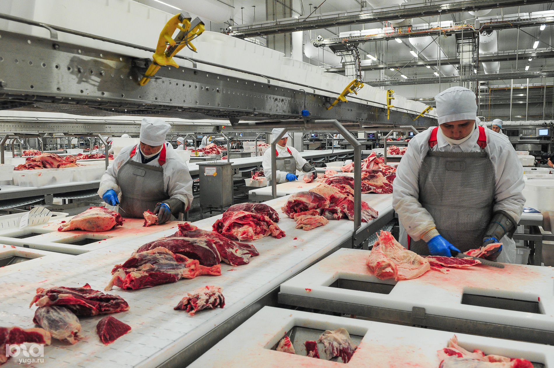 Производители мясных продуктов. Предприятия мясной промышленности. Мясоперерабатывающий завод. Мясная промышленность. Мясоперерабатывающая промышленность.